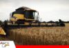 Anapo: el DS 5676 castiga al pequeño productor, motiva más al desvío de diésel y subirá el precio de los alimentos La cosecha de trigo agoniza por falta de diesel y ahora por el nuevo precio Foto: Anapo