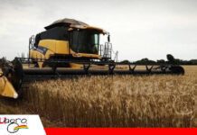 Anapo: el DS 5676 castiga al pequeño productor, motiva más al desvío de diésel y subirá el precio de los alimentos La cosecha de trigo agoniza por falta de diesel y ahora por el nuevo precio Foto: Anapo