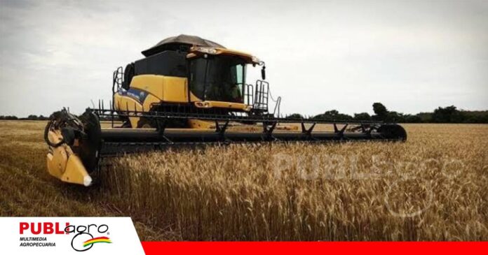 FOTO NOTAS WEB - 2026-08-20T093457.538 La cosecha de trigo agoniza por falta de diesel y ahora por el nuevo precio Foto: Anapo