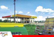 El agro paga a Bs 18 el litro de diésel, pero persisten las largas filas En las provincias continuan las largas filas por diesel Foto: El Deber