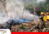 ABT activa su plan de contingencia ante la temporada crítica de incendios ABT fortalece trabajos para evitar incendios forestales/ Foto: Internet