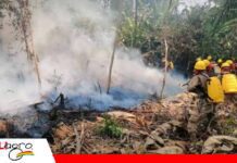 ABT activa su plan de contingencia ante la temporada crítica de incendios ABT fortalece trabajos para evitar incendios forestales/ Foto: Internet
