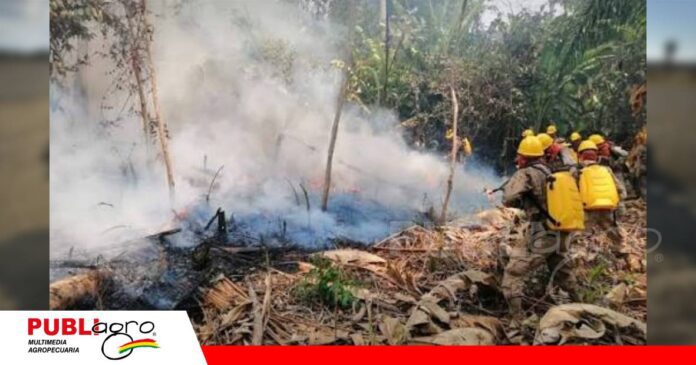 ABT fortalece trabajos para evitar incendios forestales/ Foto: Internet