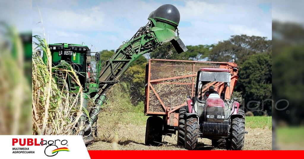 El sector cañero es uno de los más afectados Foto: Internet