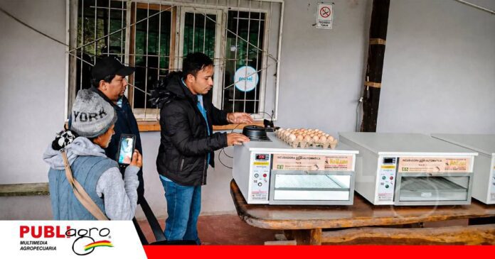 Villa Montes apuesta por las familias para fortalecer su producción avícola/ Foto: Gobierno Mun. de Villa Montes