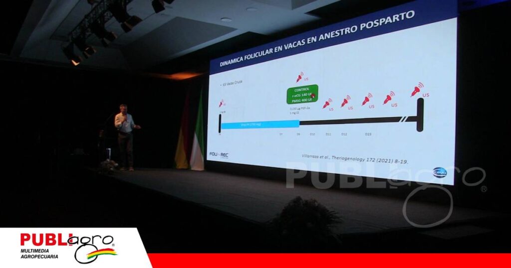 Nueva hormona impulsa la eficiencia de la IATF/ Foto: Publiagro