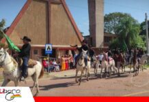Nutrición y sanidad, claves para mejorar la producción de equinos en el Beni Productores del Beni buscan mejorar el rendimiento de sus caballos/ Foto: Internet