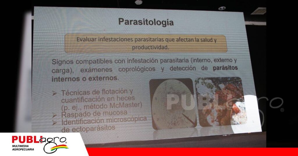 FOTO NOTAS WEB - 2026-08-29T120416.788 PCR, necropsia y serología, herramientas para descifrar problemas/ Foto: Publiagro