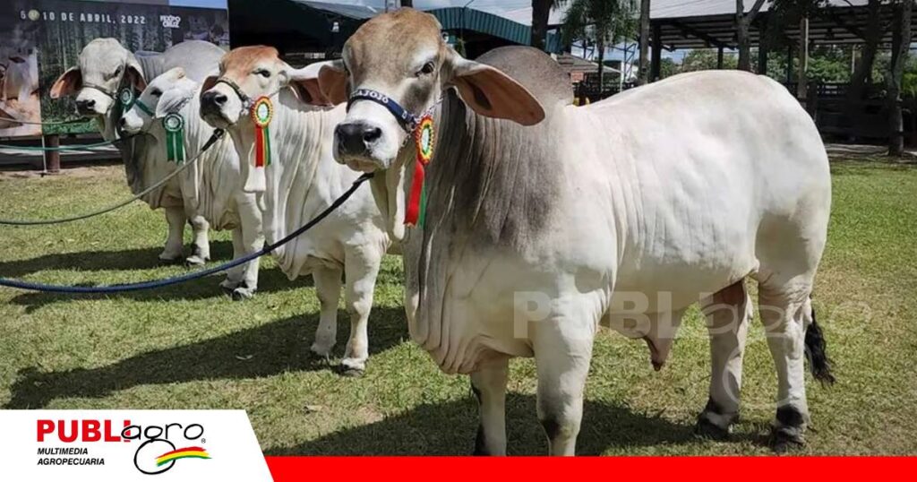 Será un espacio para hablar de la raza y sus bondades/ Foto: Internet