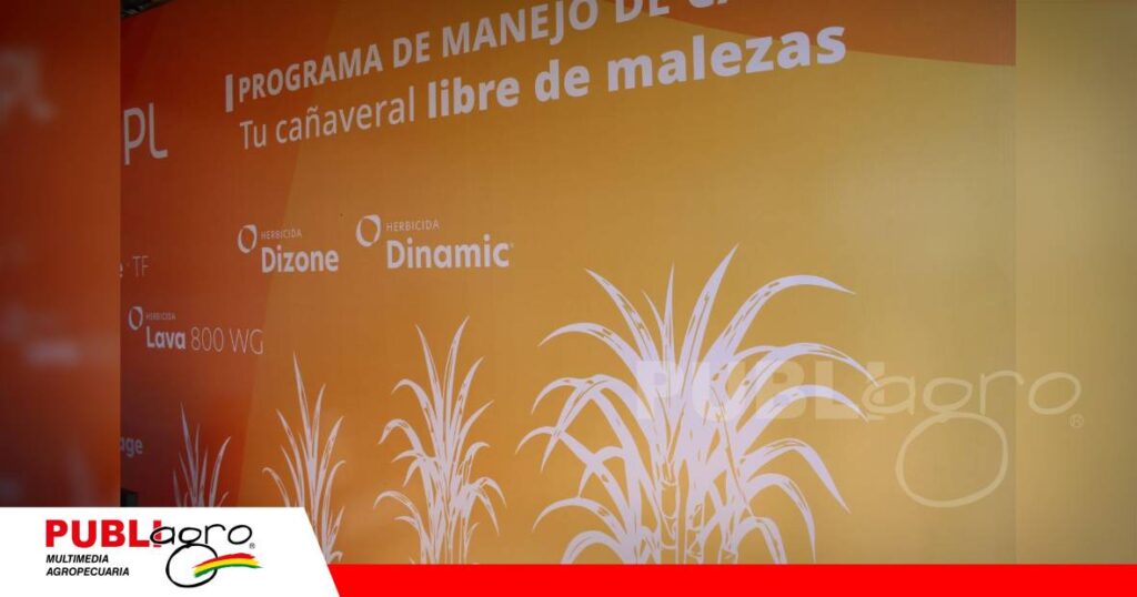 FOTO NOTAS WEB (26) UPL apuesta por una caña más productiva y tecnificada/ Foto: Publiagro