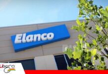 Elanco apuesta por innovación y prevención para fortalecer la avicultura boliviana Elanco fortalece su presencia en Bolivia con soluciones para la salud avícola/ Foto: Internet