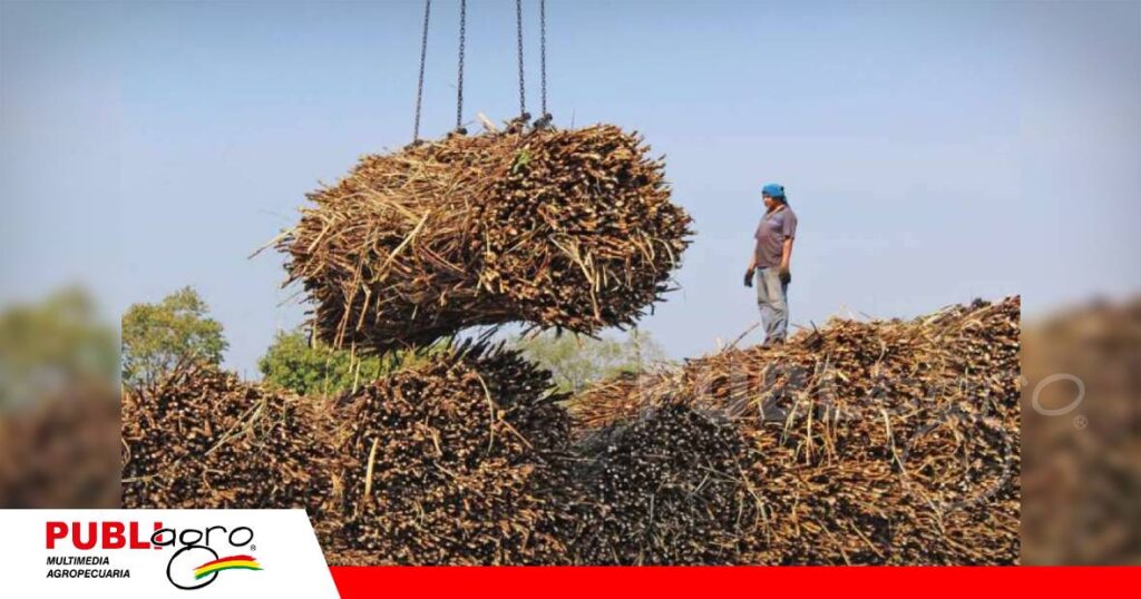 FOTO NOTAS WEB (32) Con la agroindustria, se pretende diversificar con la producción de etanol/ Foto: Internet
