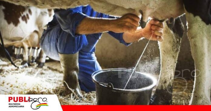 Productores señalan que no tienen alimento para su ganado/ Foto: Internet