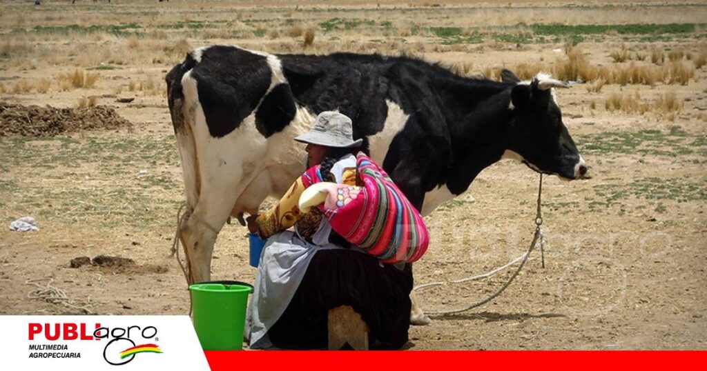La asociación produce leche y queso/ Foto: Internet