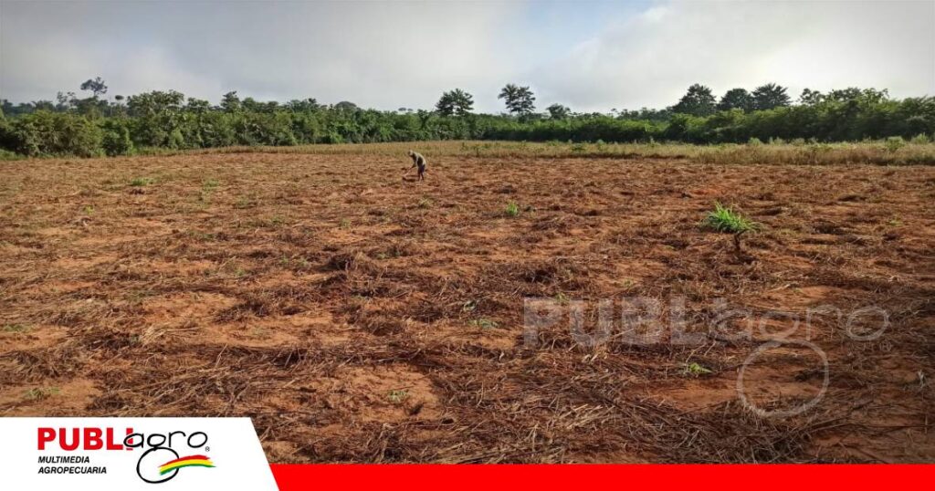 FOTO NOTAS WEB (4) Pedirán al INRA información sobre el saneamiento y la dotación de tierras/ Foto:Internet