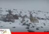 Al menos 19.000 cabezas de camélidos están afectadas y en riesgo por nevadas en Potosí El SAT realiza la cuantificación de las pérdidas de ganado camélido / Foto: Internet