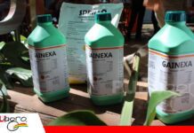 UPL destaca Tripzin, Gainexa y Uplift Trio para fortalecer los cultivos Gainexa, uno de los productos estrella de UPL/ Foto: Publiagro