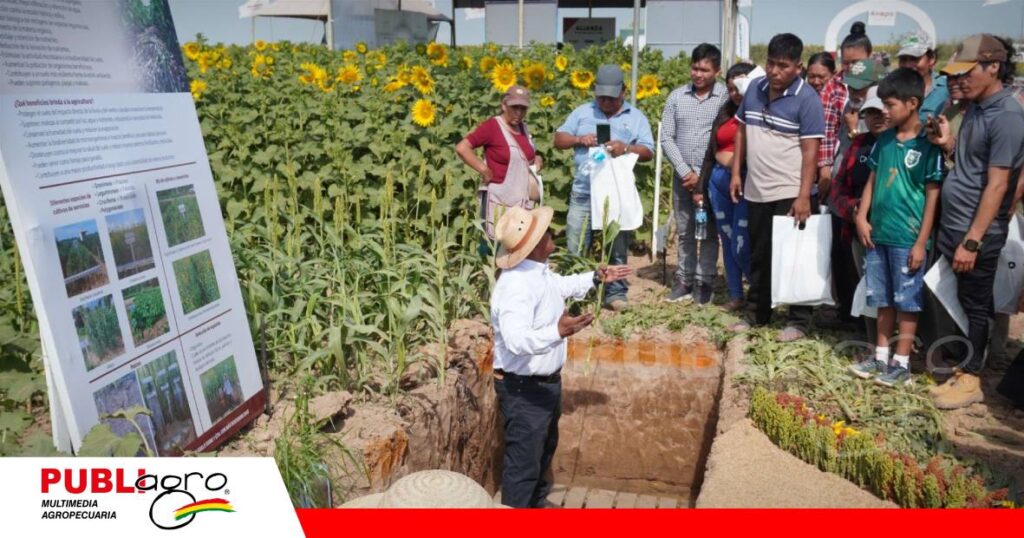FOTO NOTAS WEB (5) Campaña de girasol con menor incidencia del Jopo/ Foto: Publiagro