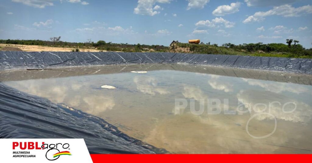 Reyes busca convertir sus proyectos ganaderos en motores de desarrollo/ Foto: Publiagro