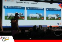 CRV Lagoa apuesta por genética de alta fertilidad y fortalece su presencia en Bolivia junto a Reprogen Henrique Borger estuvo en el Repro10/ Foto: Publiagro