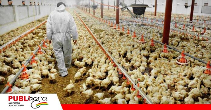 FOTO NOTAS WEB (60) Bolivia refuerza el control sanitario contra Salmonella/ Foto: Internet