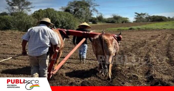 FOTO NOTAS WEB (7) Estabilidad laboral y productividad, el desafío para las empresas del agro/ Foto: Internet