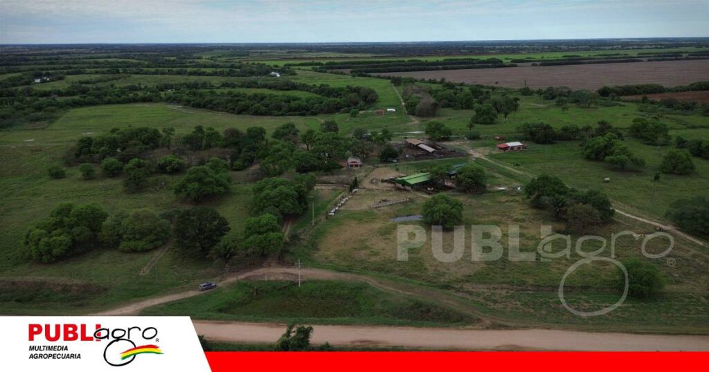Día de Campo previo al remate en Cabaña Don Rodrigo/ Foto: Publiagro