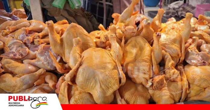 FOTO NOTAS WEB (8) Avicultores descartan alza automática del pollo por falta de diésel/ Foto: Internet