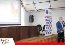 Influenza aviar: vacunas recombinantes abren una nueva etapa de prevención La prevención de la enfermedad requiere una estrategia/ Foto: Publiagro