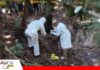 Investigan existencia de mataderos clandestinos en Cochabamba El hallazgo de pieles y cueros está en investigación/ Foto: Internet