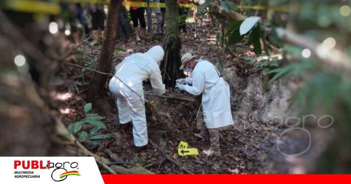 El hallazgo de pieles y cueros está en investigación/ Foto: Internet