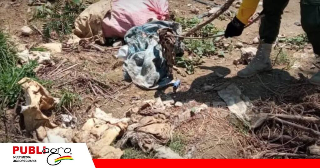 Vecinos alertaron a las autoridades debido al olor/ Foto: Internet
