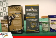Biopaz y Bimeda presenta nuevas soluciones para fortalecer la sanidad bovina Nuevas alternativas para mejorar el manejo sanitario del ganado/ Foto: Publiagro