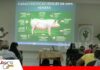 Comvetcruz fortalece la capacitación ante el crecimiento de la producción porcina Capacitación, el nuevo desafío para una porcicultura que busca crecer/ Foto: Publiagro