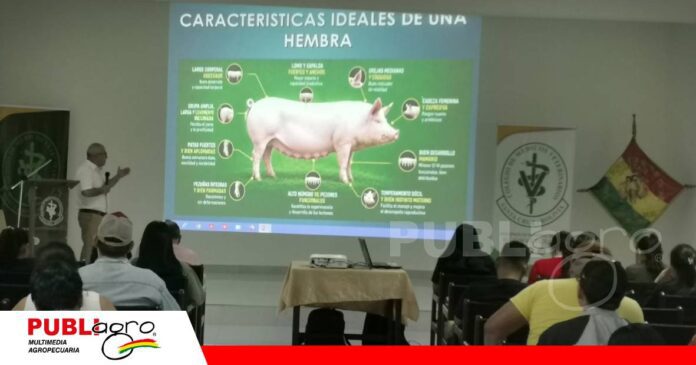 FOTO NOTAS WEB (9) Capacitación, el nuevo desafío para una porcicultura que busca crecer/ Foto: Publiagro
