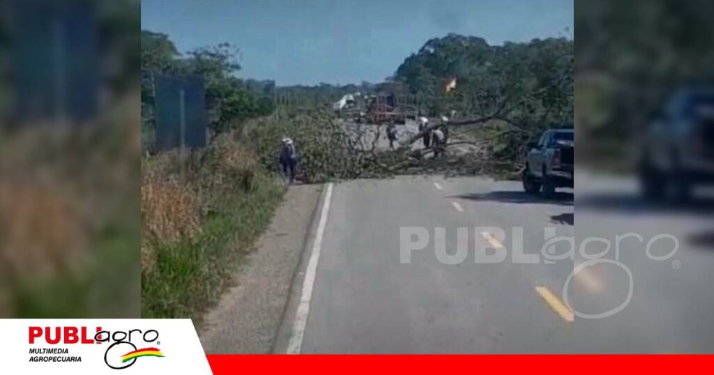 La medida exige levantar estado de excepción y el decreto del combustible/ Foto: Internet