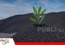 Biochar: el biocarbón que gana espacio como aliado para recuperar la salud de los suelos Un aliado por su capacidad de fijar CO2 en el suelo/ Foto: Internet