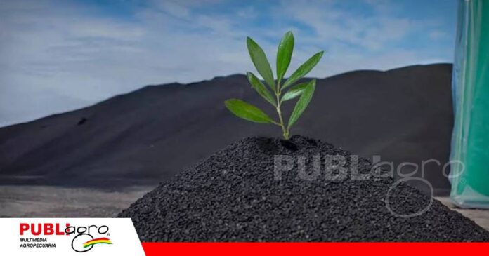 Un aliado por su capacidad de fijar CO2 en el suelo/ Foto: Internet