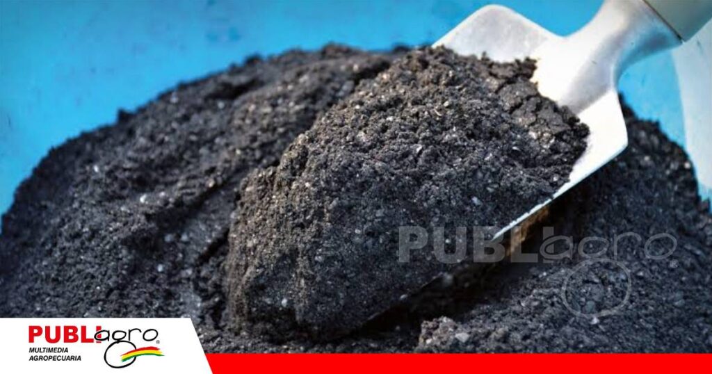 Biochar y sus aplicaciones potenciales para el suelo/ Foto: Internet