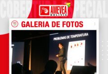 📷Galería de fotos | Galpones climatizados: pollos de engorde