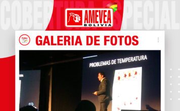 📷Galería de fotos | Galpones climatizados: pollos de engorde