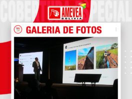📷Galería de fotos | Galpones climatizados