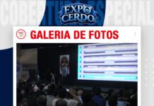 📷Galería de fotos | Gestación de alto desempeño