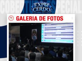 📷Galería de fotos | Gestación de alto desempeño