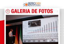 📷Galería de fotos | Gustavo Martins Gomes