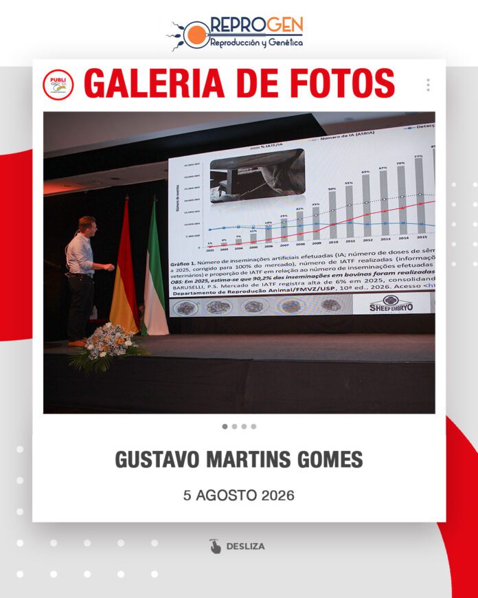 Gustavo-Martins-Gomes0