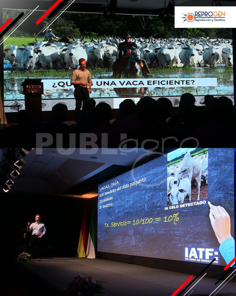 Gustavo-Martins-Gomes3
