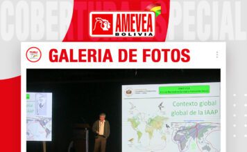 📷Galería de fotos | Influenza Aviar en Bolivia