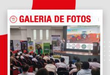 📷Galería de fotos | Manejo del jopo en girasol