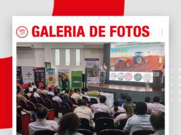 📷Galería de fotos | Manejo del jopo en girasol